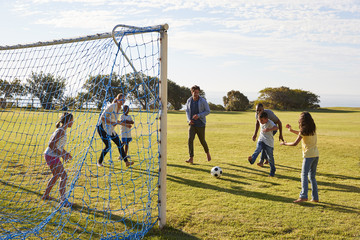 Girl defending goal during family football game