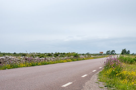 Stora Alvaret or The Great Alvar, a UNESCO World Heritage site consisting of a limestone barren plain on Swedish Baltic sea island Oland
