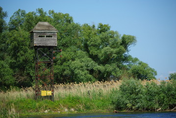 nature, landscape, field, grass,green