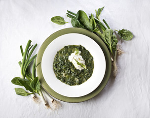 Wildkr&auml;utersuppe