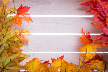Bunte Herbstblätter