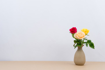 Indoor plant on wooden table and white wall