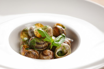 Plate with delicious snails in green sauce, closeup