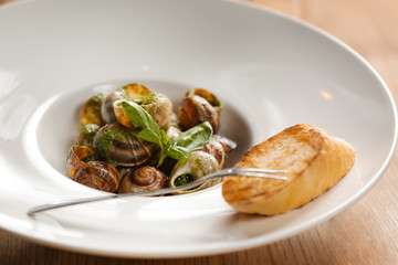Plate with delicious snails in green sauce, closeup