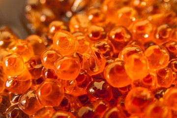 Salmon roe
