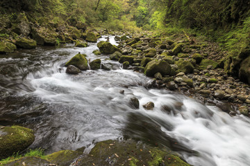 Obraz premium Takachiho gorge in Kyushu Japan
