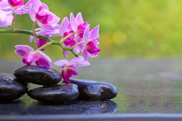 Black spa stones and pink orchids. Wellness background.