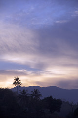 Palme, Himmel, Dämmerung, Pastell, Silhouette, Sonnenaufgang, Indien, Kerala