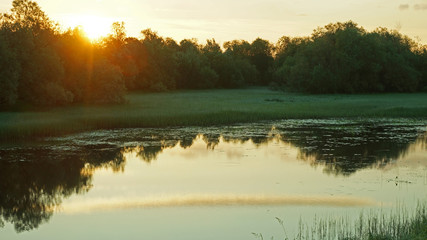 Sunrise over the pond