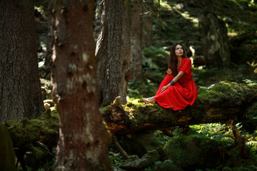Portrait of romantic woman in fairy forest. Young woman in red dress sitting in the woods - 167361064