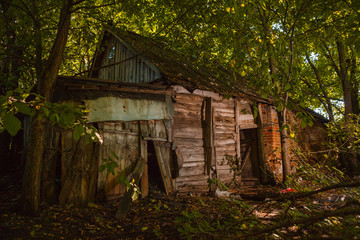 Fototapeta na wymiar A ruined house in forest