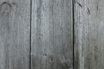 Wood texture