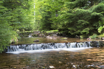 Obraz premium Im Märchenwald