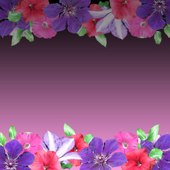 Beautiful floral background of petunias and clematis 