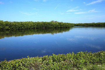 Beautiful view of J.N. Ding Darling National Wildlife Refuge Lake.