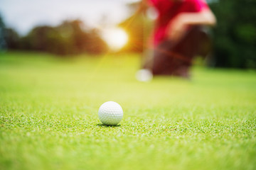 golf ball on green golf course, sunrise morning light.