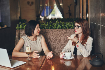 Two young caucasian businesswomen with laptop. Women in cafe