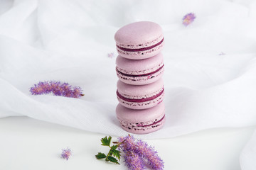 Purple macarons with BlackBerry. French delicate dessert for Breakfast