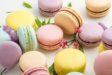 Colorful macarons with leaves and red flowers on a white background. French delicate dessert