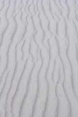 Fototapeta premium Dünensand