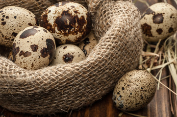 Obraz premium quail eggs in burlap sack over dark wooden background