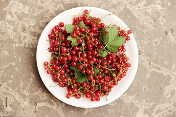 Berries red currant in a white plate on a Light gray background with concrete texture