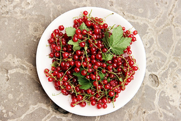 Berries red currant in a white plate on a Light gray background with concrete texture