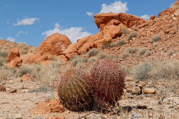 Valley Of Fire State Park