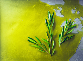 Olive oil with olive twig