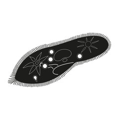 Bacteria or virus icon. Ciliate slipper symbol. Vector illustration.