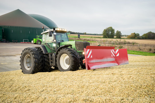 Maisernte für Biogas - Traktor mit Planierschild beim Walzen auf einem Maishaufen