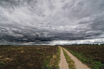 Autumnal field and sky