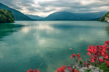 Mountain lake with red flowers and duck in water