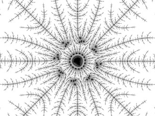 Obraz premium Monochrome, black and white graphics.