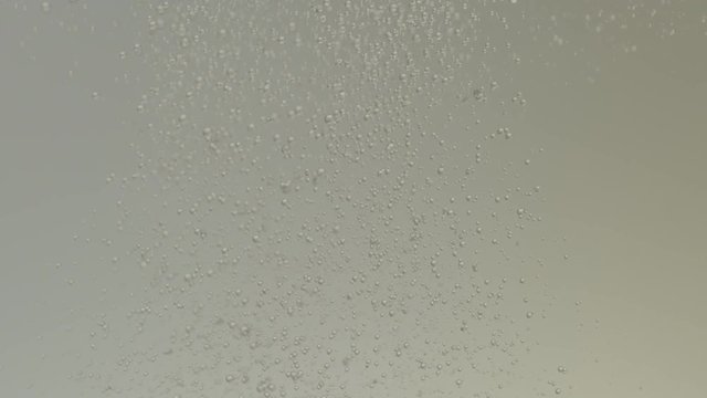 Bubbles Rise and Fall in Grey Water