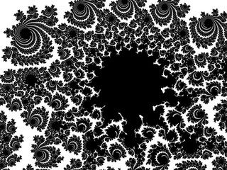 Monochrome, black and white graphics.