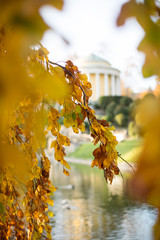 Goldener Herbst im Park 