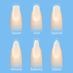 Nail manicure, set of nails shapes - oval, square, almond, stiletto, ballerina squoval Vector © DruZhi Art