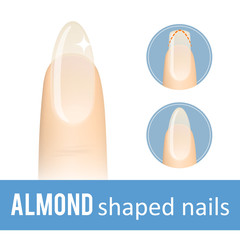 Nail manicure. How to make almond nail shape. Vector