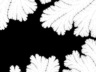 Monochrome, black and white graphics.