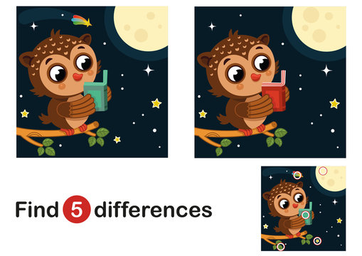 Find 5 differences education game for children, owl in the night. Vector illustration.