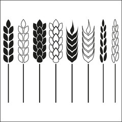 Wheat ears and rice icon set. Crop, barley or rye signs. Agriculture design element collection. Vector illustration.