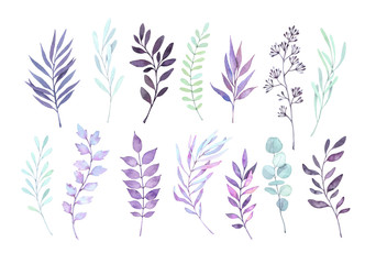 Hand drawn watercolor illustrations. Autumn Botanical clipart. Set of purple leaves, herbs and branches. Floral Design elements. Perfect for wedding invitations, greeting cards, posters, prints