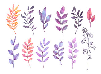 Fototapeta na wymiar Hand drawn watercolor illustrations. Autumn Botanical clipart. Set of purple leaves, herbs and branches. Floral Design elements. Perfect for wedding invitations, greeting cards, posters, prints