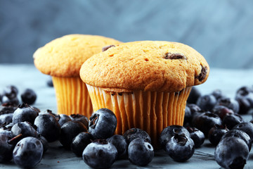 freshly baked blueberry muffins. cupcakes with blueberries