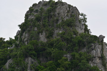 Gray mountain in Thailand with trees on the side of it