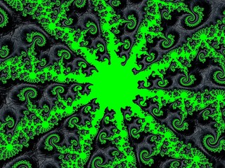 Black Fractal pattern on a green background.