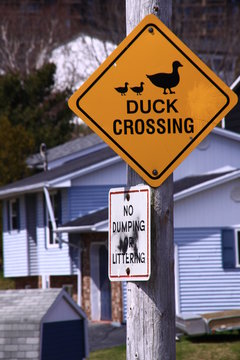 動物注意の交通標識