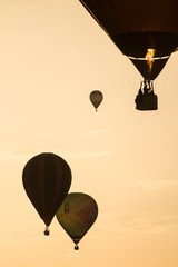 balloons on the sky