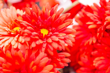 orange Gerbera plastic flowers in vase furniture mall.